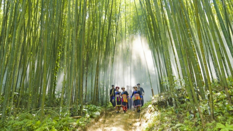 CHƯƠNG TRÌNH KHAY HENG TÀY-NÙNG  (Thứ Bảy- Vằn 23-8-2025)