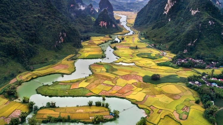 Danak dak sap Cam 24_08_2025