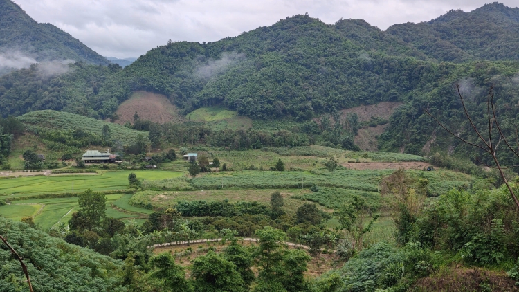 Lầy tzình phát sinh ìu miền vả thứ 4 hnoi 13/8/2025