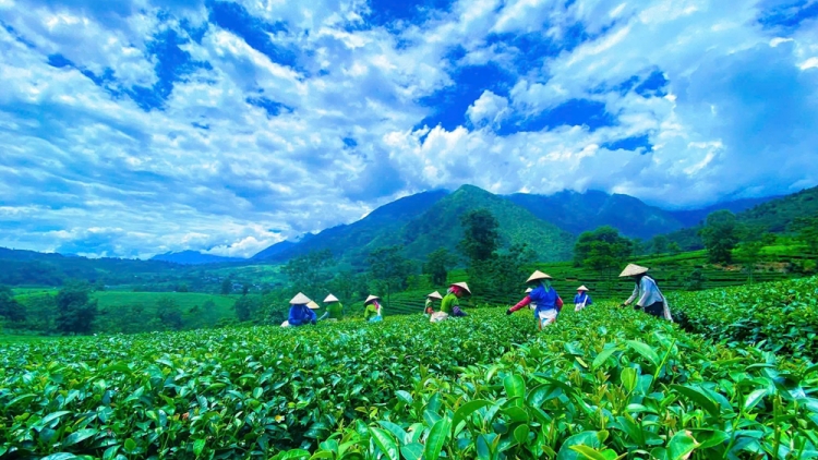 Chương trình phát thanh quam Tay, thứ 2 mự 01 căm bườn 9 pì 2025