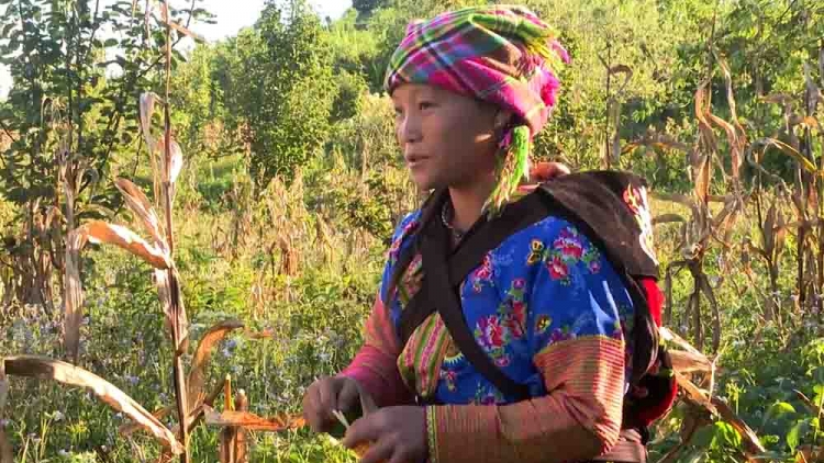 Ngon tô thứ 6 mự 15 căm bườn 8 pì 2025: Bộ đội pọm cắp côn dần pít xùi xìa nạn àu phùa àu mia té nọi