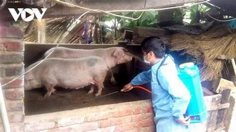 “Mô uănh lhơ đah Nuh srê ji ndŭl djroh sŭr châu Phi”