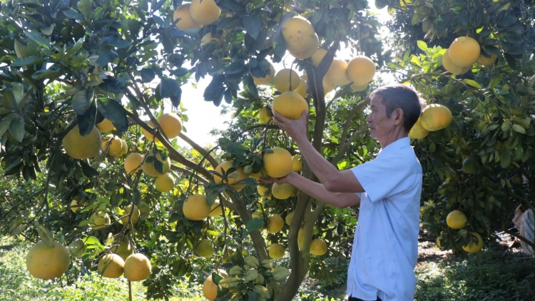 Chương trình phát thanh quam Tay, thứ 6 mự 29 căm bườn 8 pì 2025