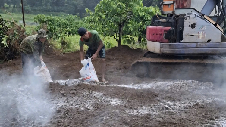 Gia Lai: 14 to cheăm nôkố tâ tú pơreăng châi klêa chu châu Phi, prâu tâh lối 700 to