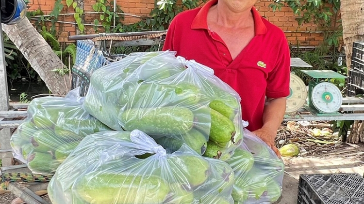  លោក ង្វៀនវ៉ាំងសាវ នៅសង្កាត់កាយរ៉ាំង ក្រុងកឹងធើ ជាអ្នករវាសរវៃក្នុងការតភ្ជាប់ និងទិញដូរបង្លែបង្ការរបស់កសិករ។