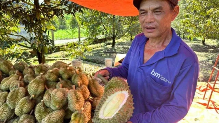 ពត៌មាន​ម៉ោង៦