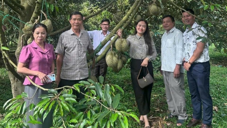 PÂN ĐIL BÍ THƯ CHR’VAL TR’NƠỢP COH ĐẮK LẮK LIVESTREAM PA CÂL SẦU RIÊNG ZOOI ĐOỌNG ĐHANUÔR