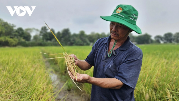 JALAN PAYENG DI KAYA NGAK NONG JIEN TIK USD DI VIET NAM