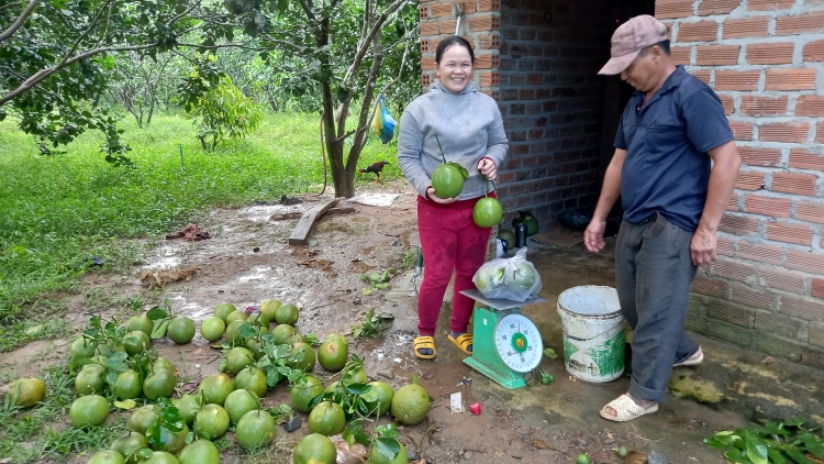 Kiăng hơmâo hơdră djru phara kiăng đĭ kyar gơnam mơ̆ng hmua kual čư̆ siăng