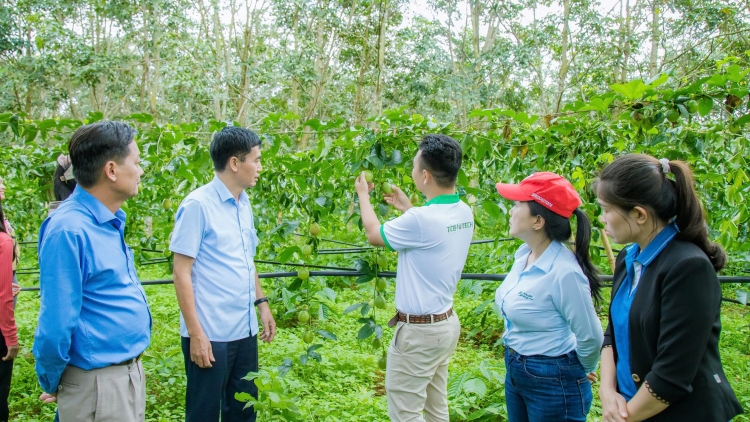Tơpui tơno ‘na ‘’Troăng mơnhông troăng tơdjêp pêt mơjiâng tơmeăm – tê tơmeăm krui kơxái krá tơniăn’’ a Dak Lak