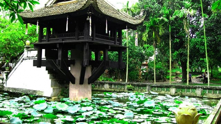 Danak dak sap Cam 17_08_2025