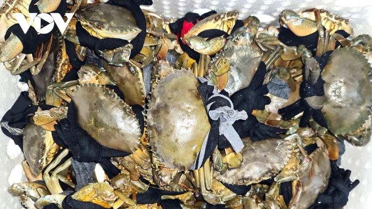 ពត៌មាន ម៉ោង​ ៦