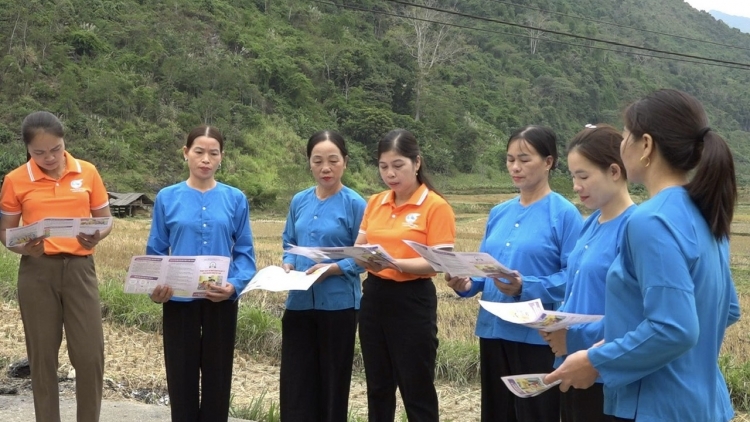 HẾT ĐÂY VIỂC CÚA CẦN HẾT CỐC CHI BỘ BẢN SLÌ TỐI MẤƯ