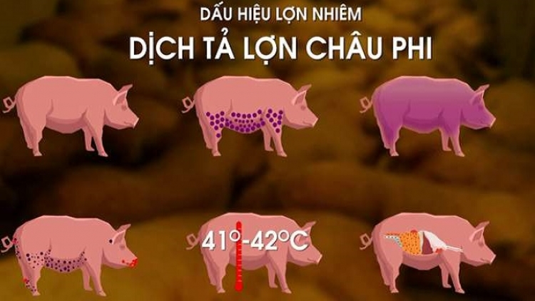 Túng pút vuôn châu Phi kếu chaoz bùng tangz
