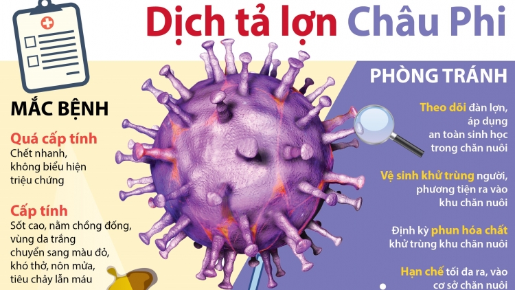 TẢNG LÀN PÂY MỐC MU CHÂU PHI