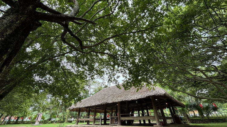 SLÌ THU BƯƠN PÉT TỀNH ĐIN TỈ CÁCH MẠNG