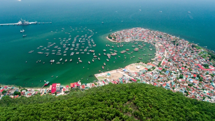 Danak dak sap Cam 09_08_2025