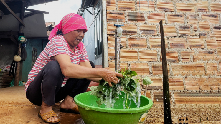 Mờr 300 broă lơh ai dà ƀòn lơgar tàm càr Lâm Đồng ờ gơtùi lơh broă 