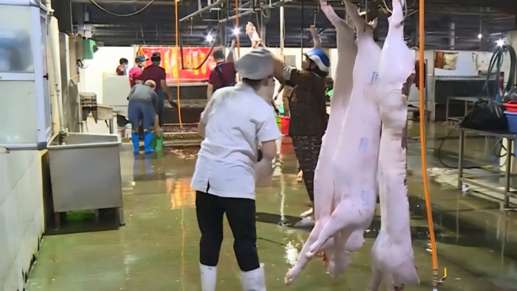 Gia Lai n’hao dăng njrăng n’gang ji ndŭl djroh sŭr châu Phi