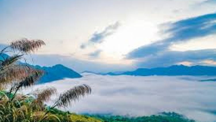 Danak dak sap Cam 13_08_2025