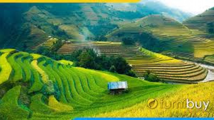 Danak dak sap Cam 15_08_2025