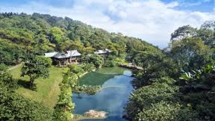 Danak dak sap Cam 18_08_2025