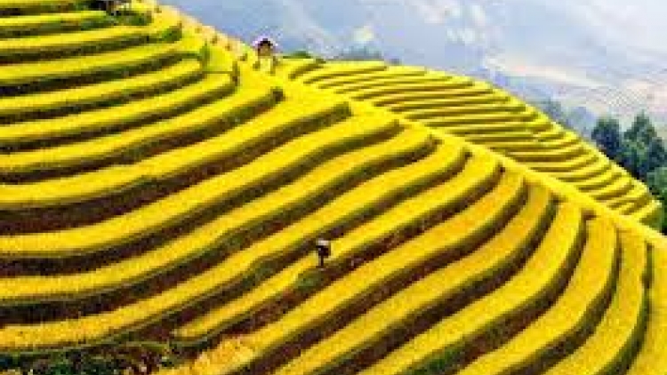 Danak dak sap Cam 22_05_2025