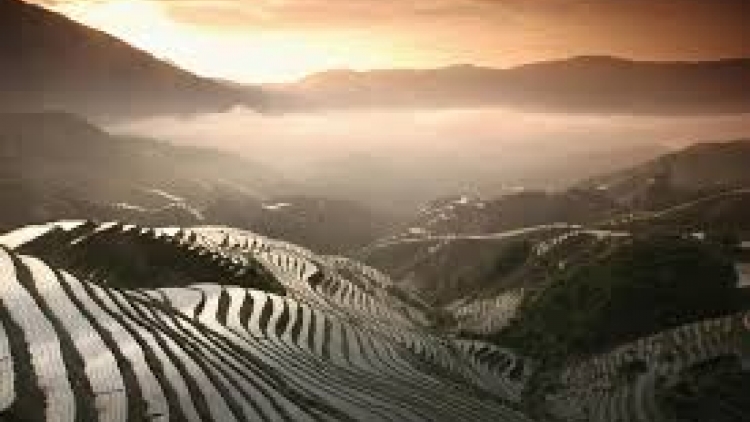 Danak dak sap Cam 05_08_2025