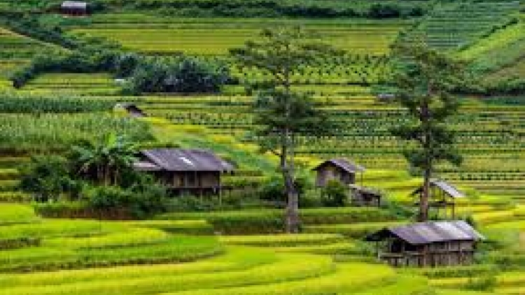 Danak dak sap Cam 06_08_2025