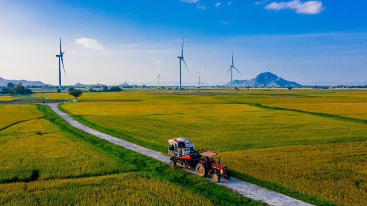 DUAH THAU BAOH PANUAC " NGAK NONG", " NGAK HAMU", PALA PADAI"