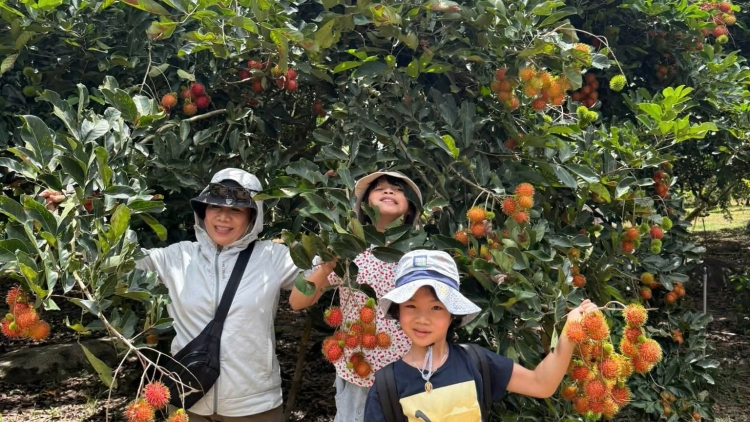 Ôm hyô pơlê pơla Khánh Hòa xúa tơmeăm ki ai hlâu ing kong ƀă kơdrum loăng plâi kâ