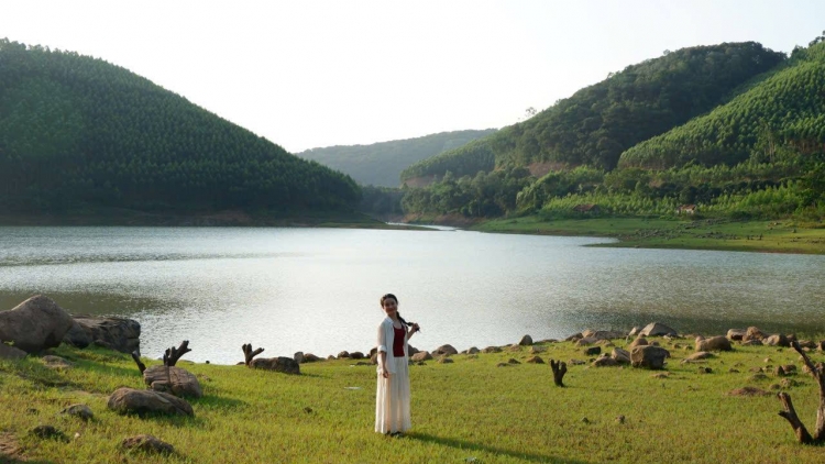 PÂY DƯƠNG KHUỔI MỠ DÚ BẮC NINH