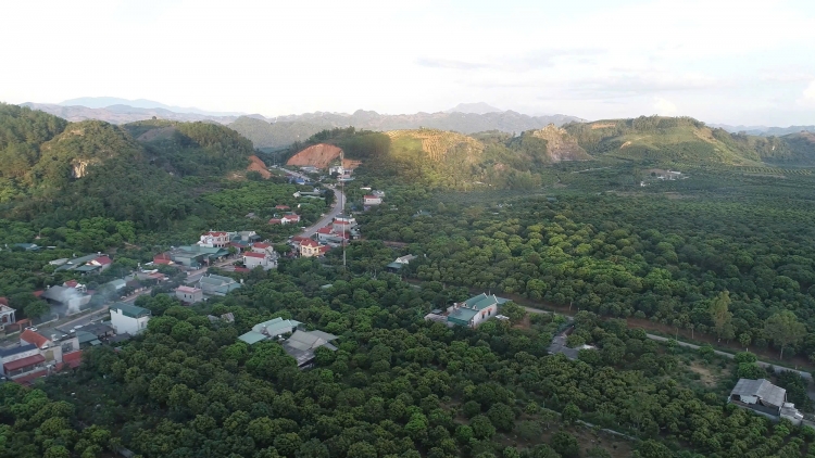 Tsaz yênhx nta suôz luk Hmôngz hnuz 29-8-2025