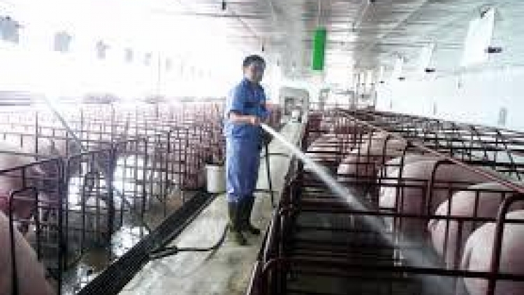 SLON PANG KHUN LIỆNG VẠ TẢNG LÀN PỈNH HẨƯ TUA CÚA CHANG SLÌ FẠ ĐÉT PÍCH