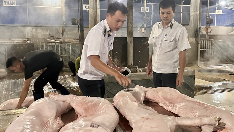 Lòt bal mờ cau ròng phan sơrlèt kal ke mờ kòp jê ndul gơjroh sur câu Phi  