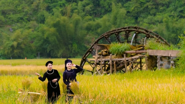 CHƯƠNG TRÌNH KHAY HENG TÀY NÙNG  (Chủ Nhật – Vằn xo 10/8/2025)