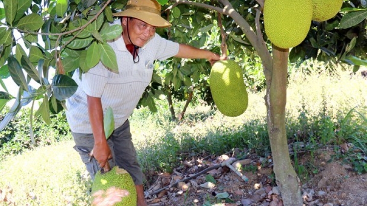 SALIH BAHRAU DI BHUM URANG CAM BẮC BÌNH, TỈNH LÂM ĐỒNG