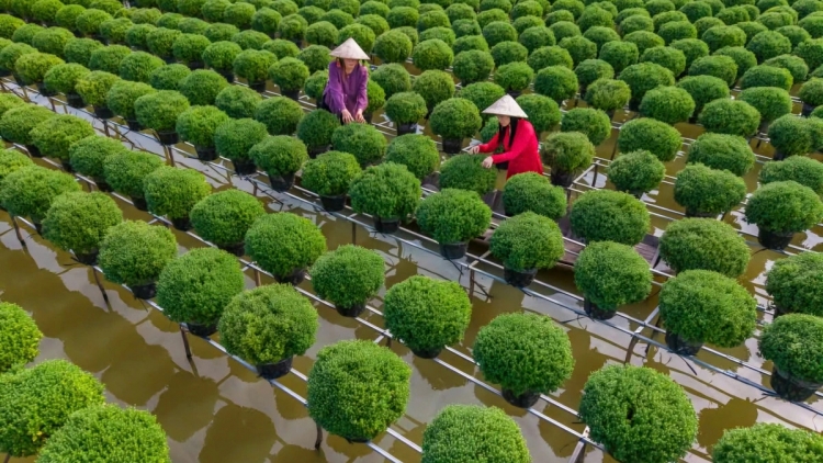 ពត៌មាន​ម៉ោង៦