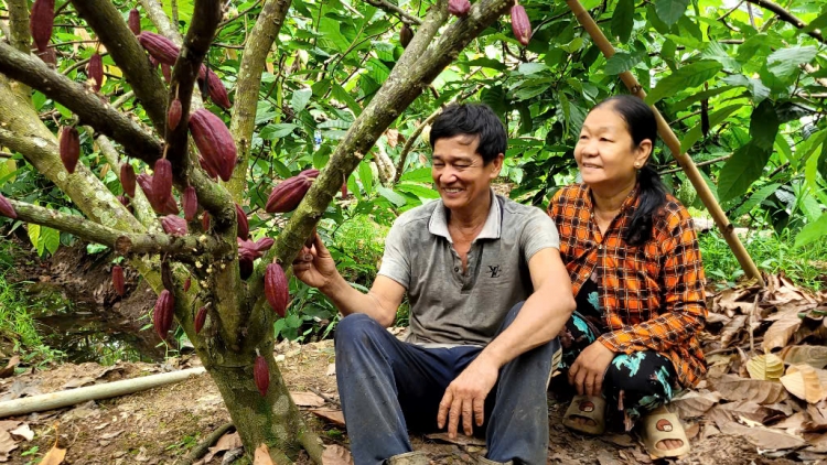 តំបន់ដីសណ្ដទន្លេគឺវឡុង ផ្លែកាកាវនាំចេញបានច្រើន អ្នកចម្ការទទួលបានប្រាក់ចំណេញខ្ពស់។