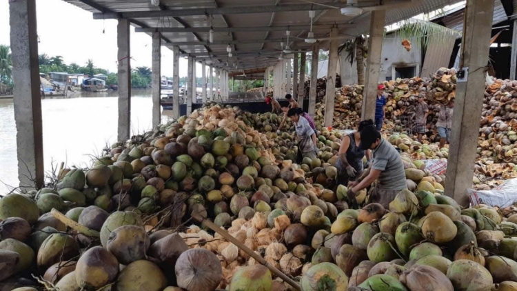 ពត៌មាន ម៉ោង ១៥