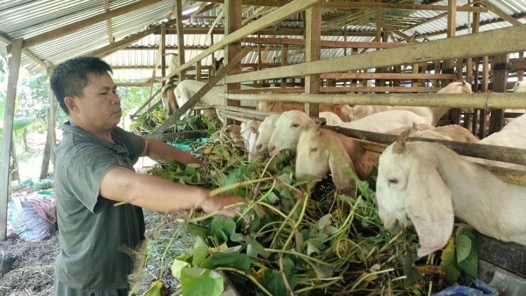 ពត៌មាន ម៉ោង ១៥