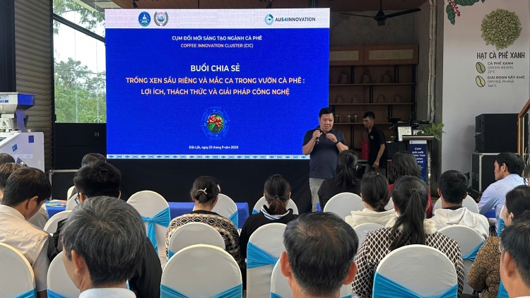 Pơtăm hrou sâu riêng, măk ka lơ̆m pơgar kaphê pơyua lơ hloh 