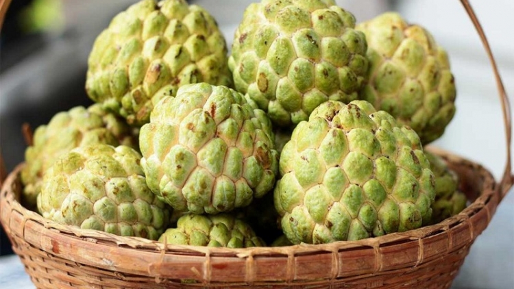 BẠI SLẮNG CẠ PỬA KIN MÁC NA