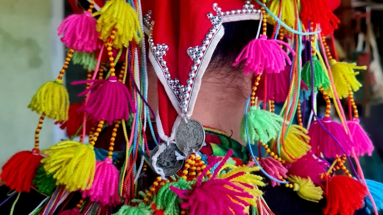 Phai paz nhây phiến