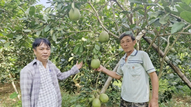 ZR’LỤ DA DING K’COONG DAL ĐÀ NẴNG T’BIL ĐHARỰT ĐƯƠI TƠỢ BH’RỢ B’BĂN