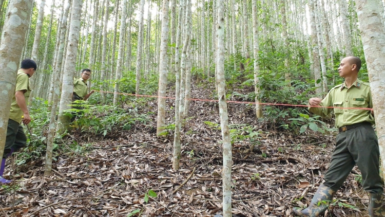 THÁI NGUYÊN LỒNG RÈNG HẾT PJỌM VIỂC CHAY MẠY PJÚC ĐÔNG