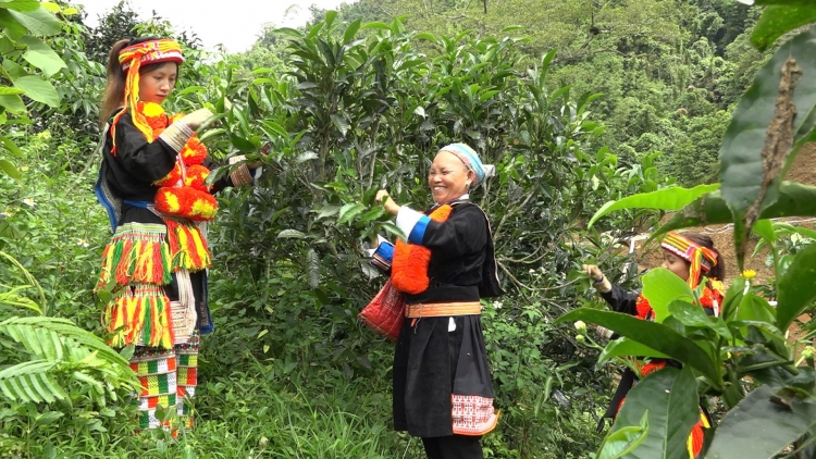 CHƯƠNG TRÌNH KHAY HENG TÀY-NÙNG  (Thứ Năm, Vằn 18/09/2025)