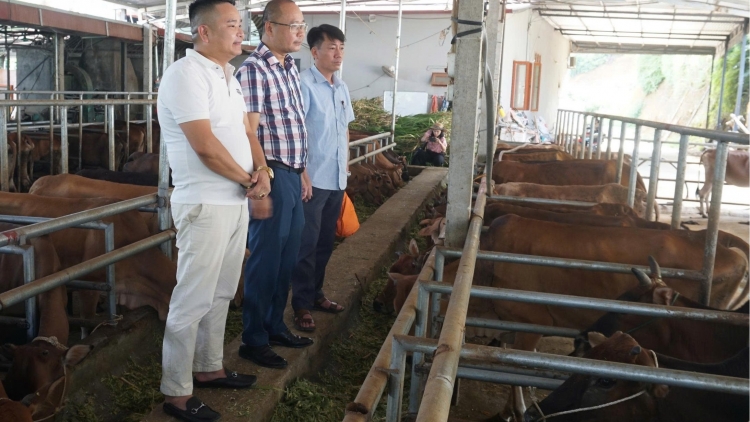 Tsaz yênhx nta suôz luk Hmôngz hnuz 25.9.2025