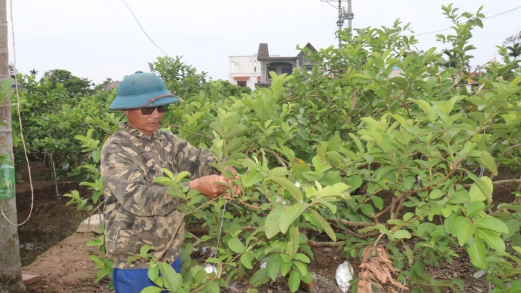 Nôngx mênhx zuôr tsuv pâuz hnuz 16-9-2025
