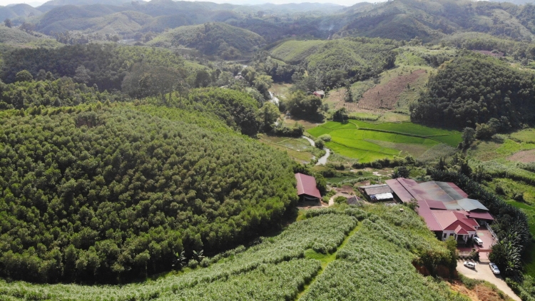 Coz làn tzấu cành tzuống miền zói ziêm Lào Cai sanhz nhây chaoz tzấu nhản